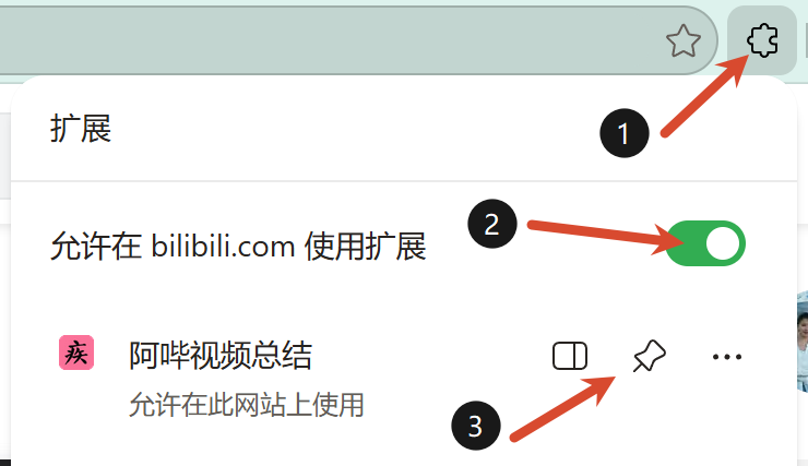 点击插件按钮、开启在 bilibili 使用扩展并固定阿哔视频总结